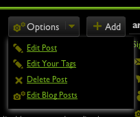 example of how it will look to edit tags or other parts of photo and blog