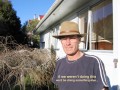 08-30-06Glenfield NZ.jpg