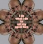 NewZealand_Wellington_Geral.jpg